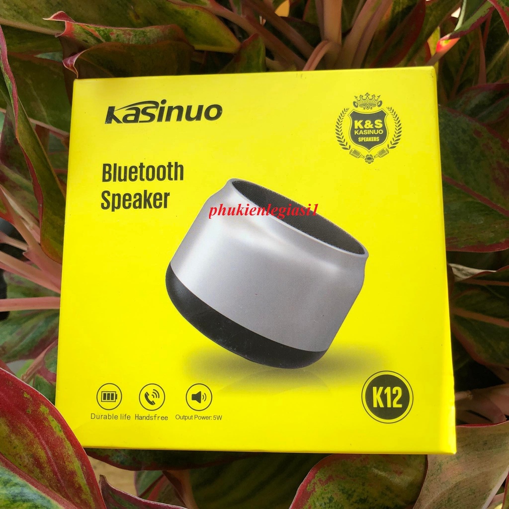 Loa Bluetooth Kasinuo K12 công suất 5W