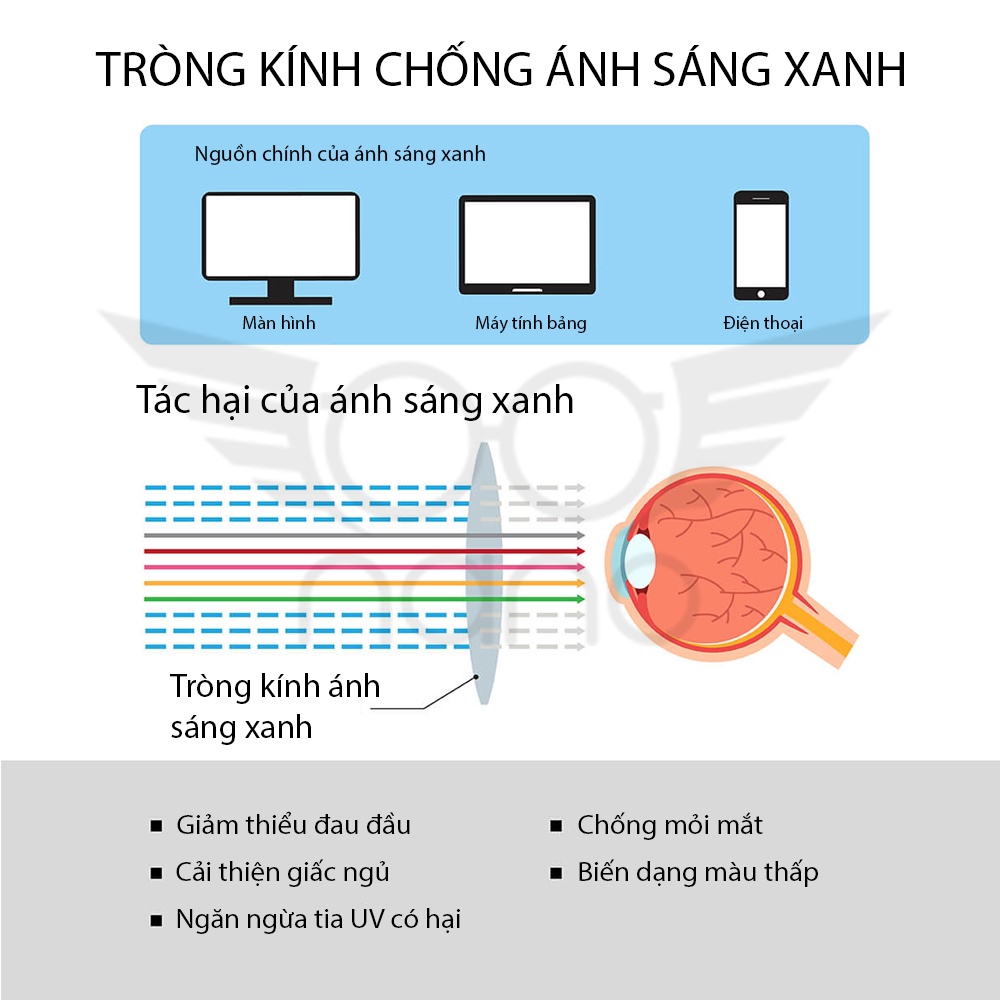 Tròng kính mắt cận SKY Driver Lớp váng dầu tím trước và sau Chống chói chống lóa khi lái xe Chiết suất 1.61 NANO