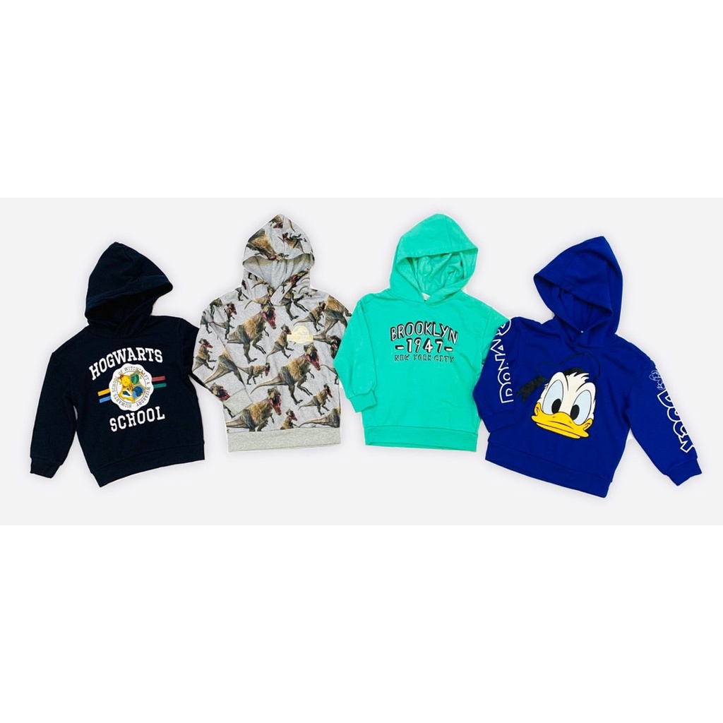 Áo nỉ hoodie HM