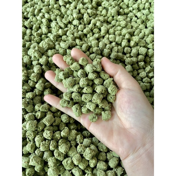 Pro-reptiles thức ăn rùa cạn 1kg