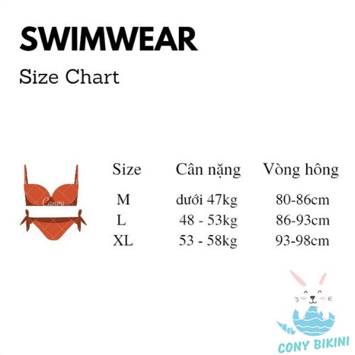 Set Bộ Quần Áo bơi đi tắm biển nữ Bikini 1 mảnh (Set 2 đồ Áo dài và quần lót) Heart - Phân Phối Nam Gym New !