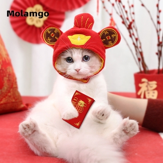 MOLAMGO  Mũ Len Giữ Ấm Cho Thú Cưng