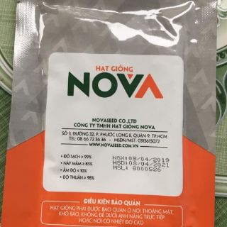 Hạt giống bí đao xanh nova 209