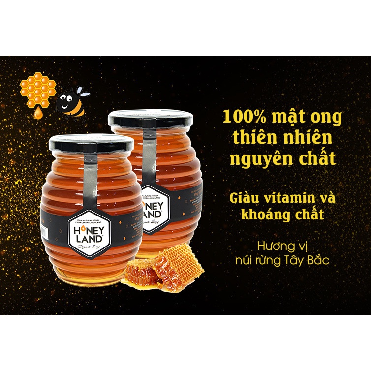 COMBO 4 lọ Mật Ong Hoa Xuyến Chi Honeyland x 500gr/lọ