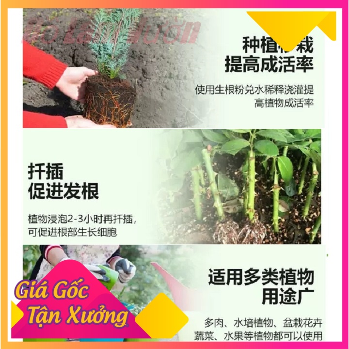 Bột kích mầm tạo rễ-chế phẩm Gel sinh hoc cho thực vật