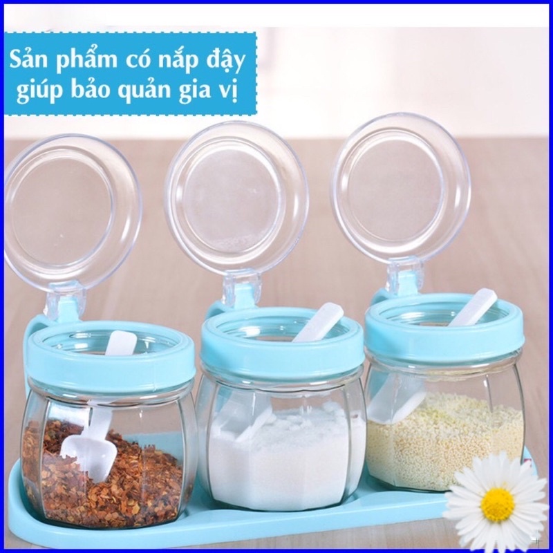 Bộ 3 hộp hũ đựng gia vị nắp bật tiện dụng Việt Nhật kèm thìa
