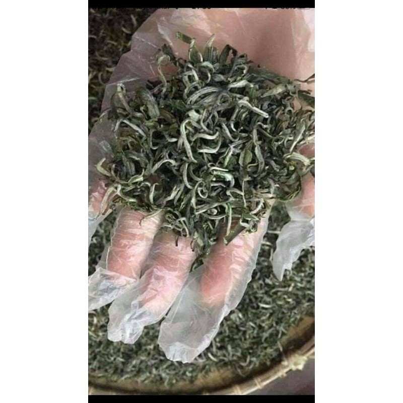 chè shan tuyết Hà Giang đặc sản chè (500g)