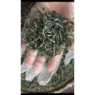 Chè shan tuyết Hà Giang đặc sản chè