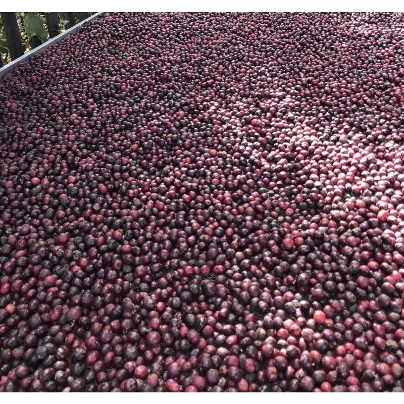 (Siêu Vocher) Robusta chế biến honey rang mộc hoàn toàn_ Cafein cao_hậu ngọt vị thơm kéo dài | BigBuy360 - bigbuy360.vn