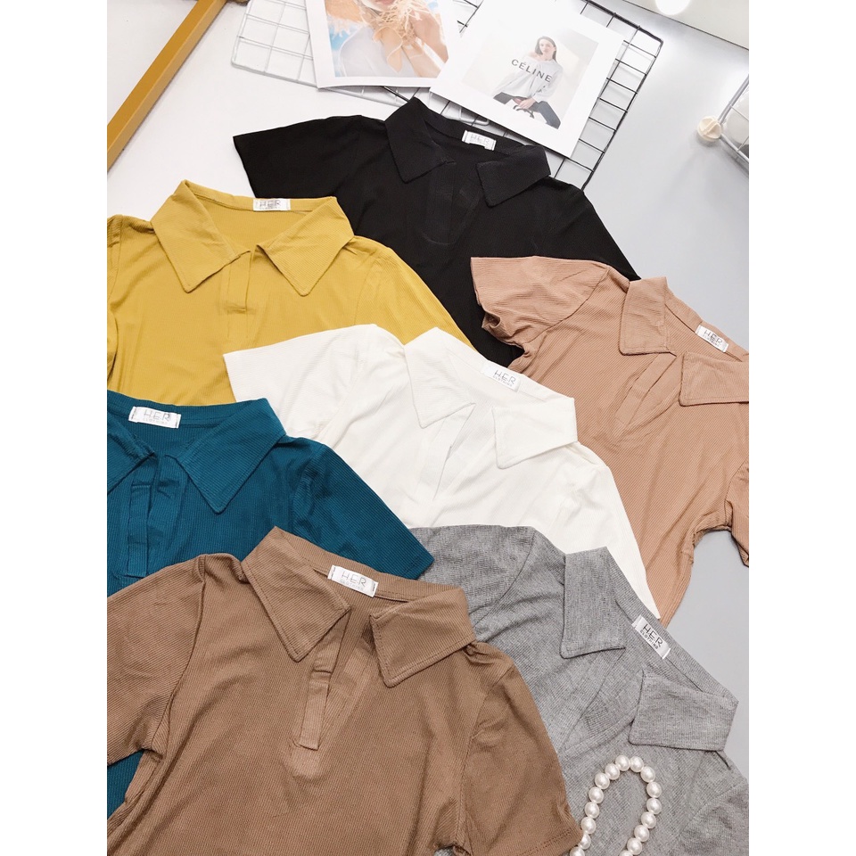 Áo thun tăm cổ đức đuôi tôm hàng Quảng Châu