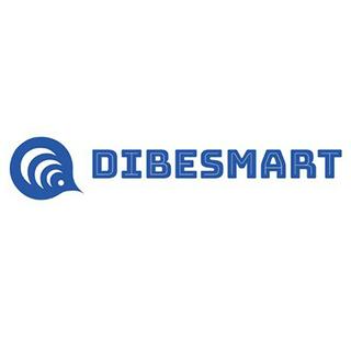 DIBESMART VN