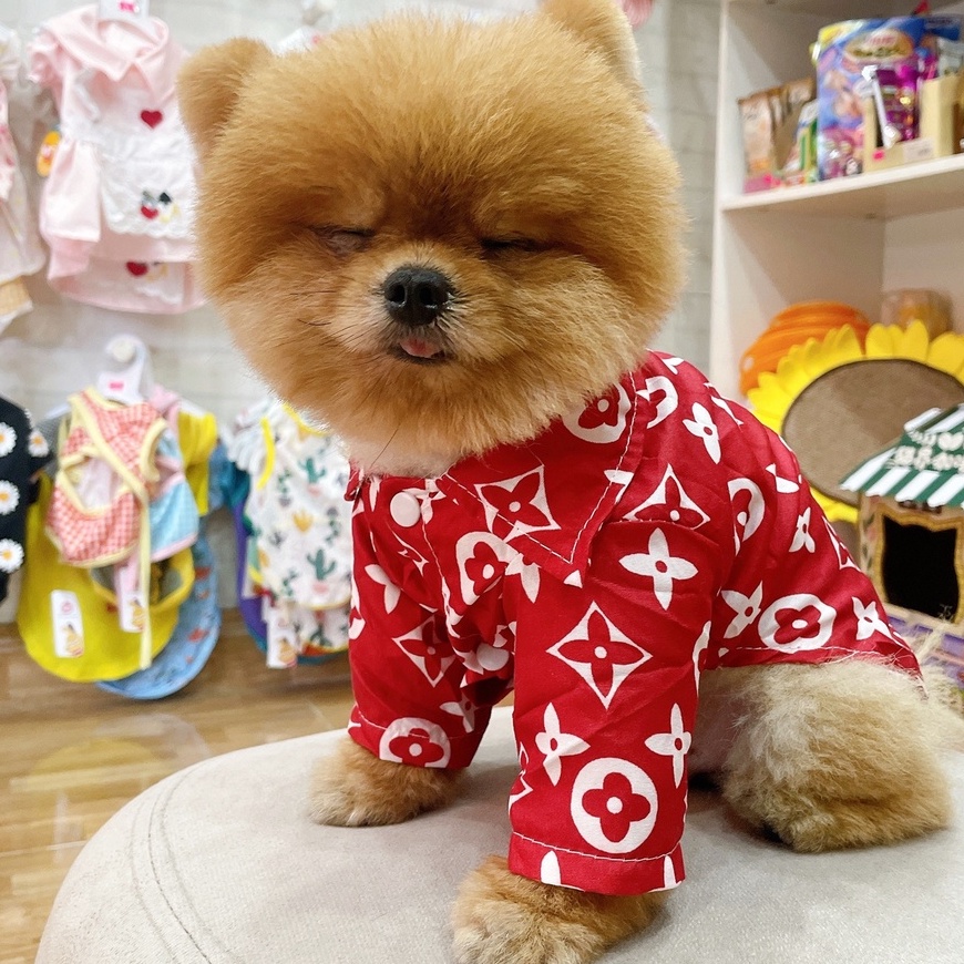 Áo sơ mi đỏ hoạ tiết sang chảnh cho chó mèo