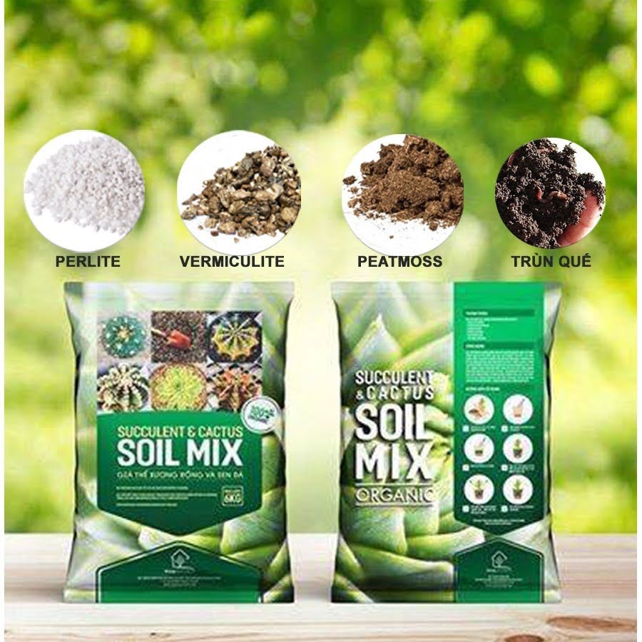 🌵 6Kg Soil Mix BA - Đất Trồng Sen Đá Xương Rồng Cao Cấp, Siêu Tiết Kiệm