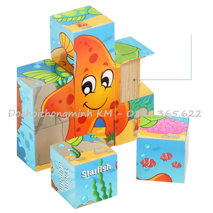 Đồ chơi xếp hình 6 mặt cho bé, ghép hình 3D 9 khối lập phương hộp sắt cao cấp