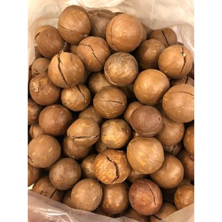 500GR Hạt MACCA sấy nứt vỏ