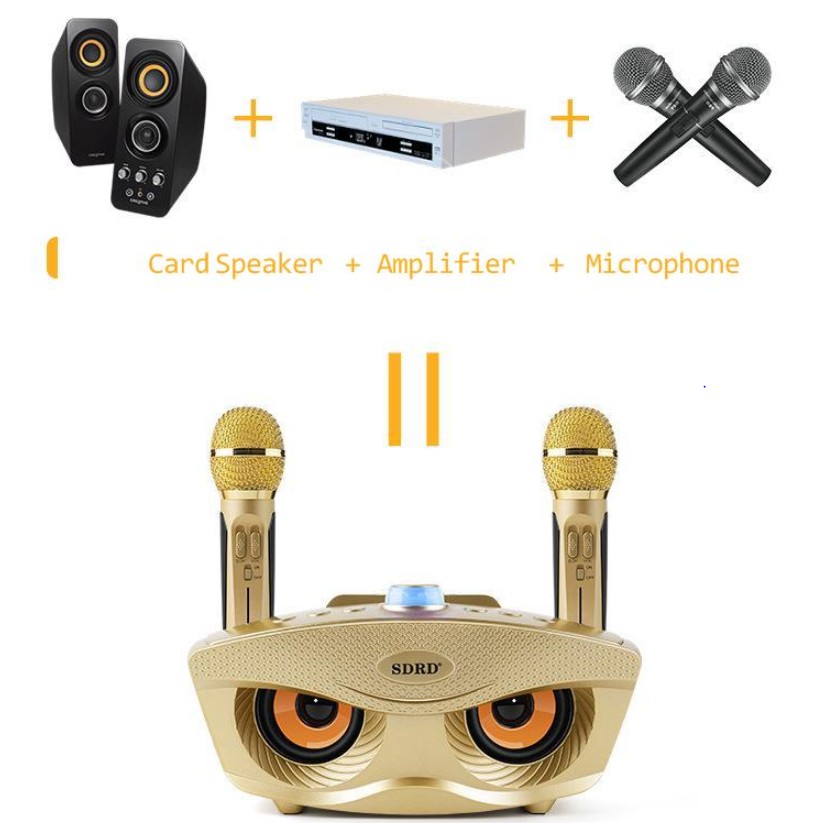 Loa karaoke bluetooth mini SD-306 loa hát karaoke đa năng,Tặng Kèm 2 Mic Không Dây - Bảo hành 6 Tháng