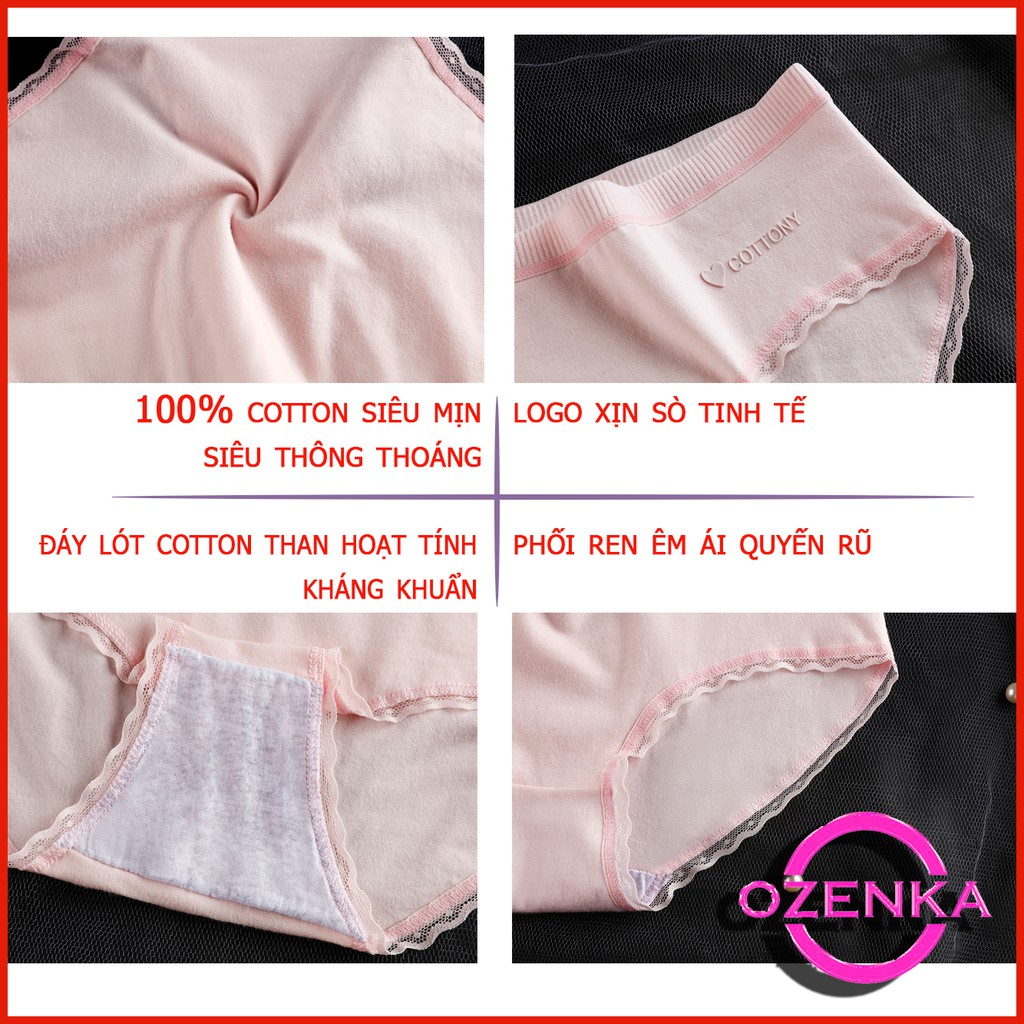 Quần lót nữ cotton nhật dễ thương nhiều màu size L siêu co giãn cho người 45-60 kg DUTI 093 | BigBuy360 - bigbuy360.vn