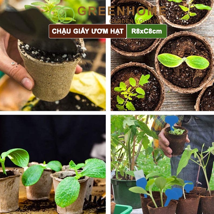 50 Chậu giấy ươm hạt giống, cây con Greenhome, D8xR8cm, hữu cơ tự phân huỷ, tiện lợi, thân thiện môi trường