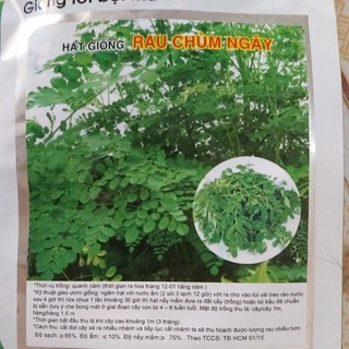 hạt giống rau chùm ngây (rau ngót nhật)