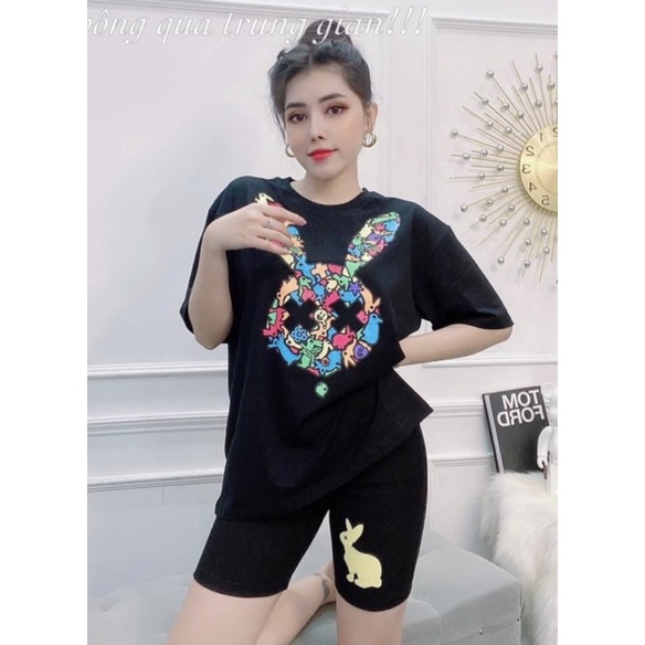 Set Thỏ siêu hot in 5d TTS977