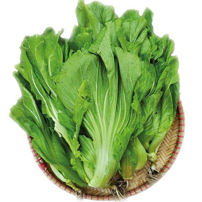 Hạt giống cải bẹ dưa - rau củ quả trồng chậu, sân vườn ban công tỉ lệ nảy mầm cao 10g RADO673