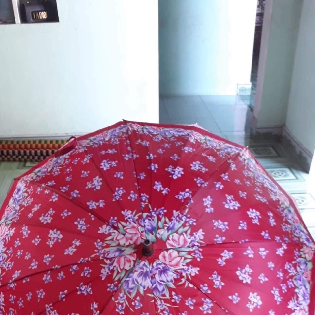 Combo dù huế