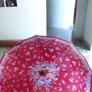 Combo dù huế
