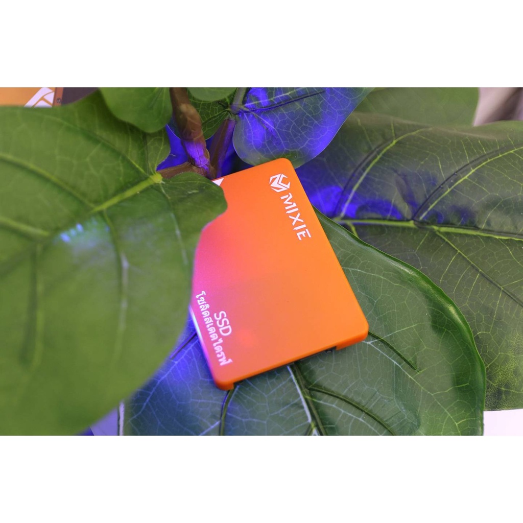 SSD MIXIE EVO500 - 256G - SATA 2.5inch - BH 36 Tháng.