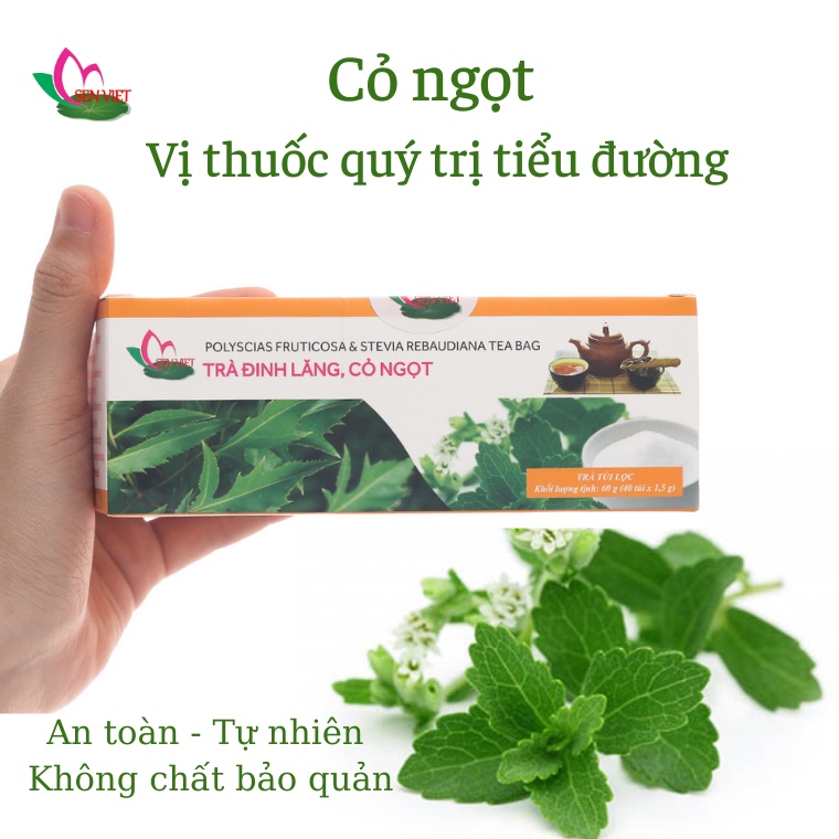 Trà Đinh Lăng Cỏ Ngọt Túi Lọc Trà Thơm Vị Thanh Cải Thiện Tình Trạng Đau Đầu