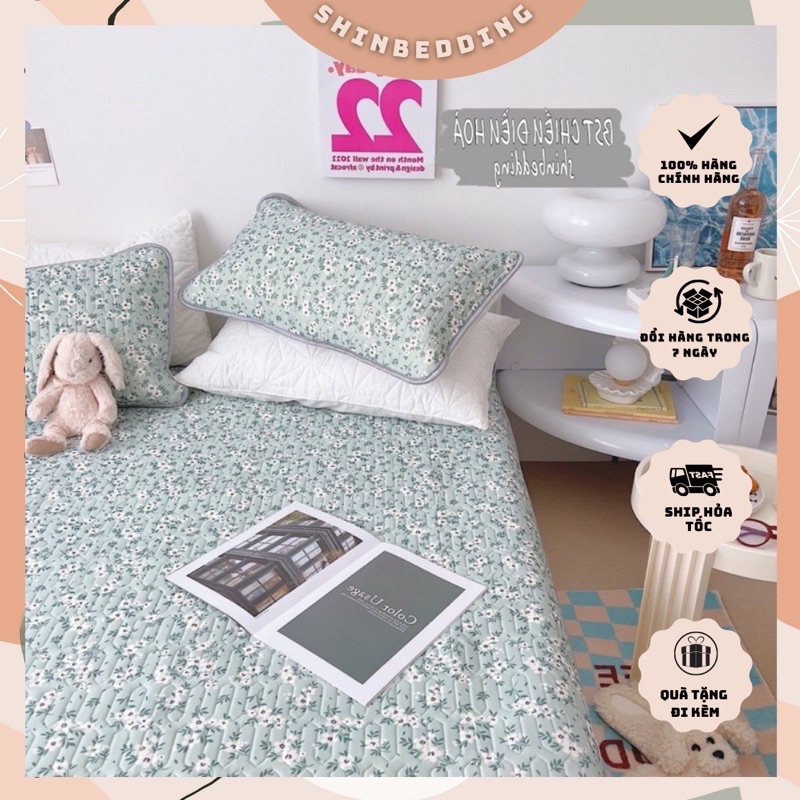 Set Chiếu Điều Hoà Loại 1