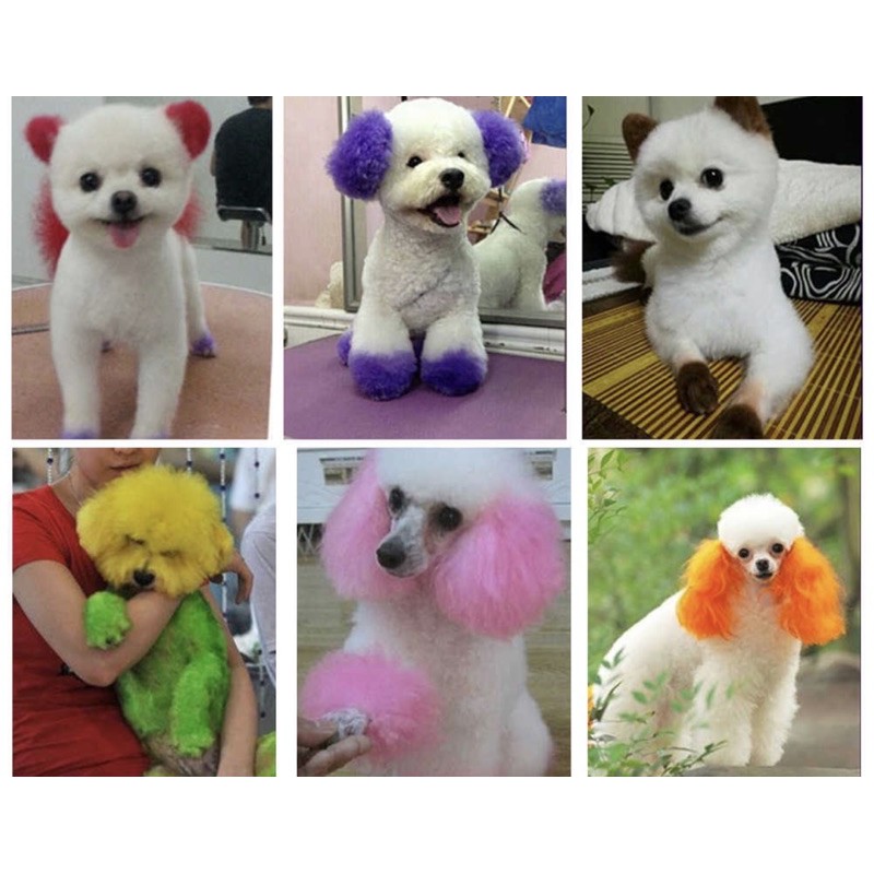 Thuốc nhuộm lông chó mèo Pet stain