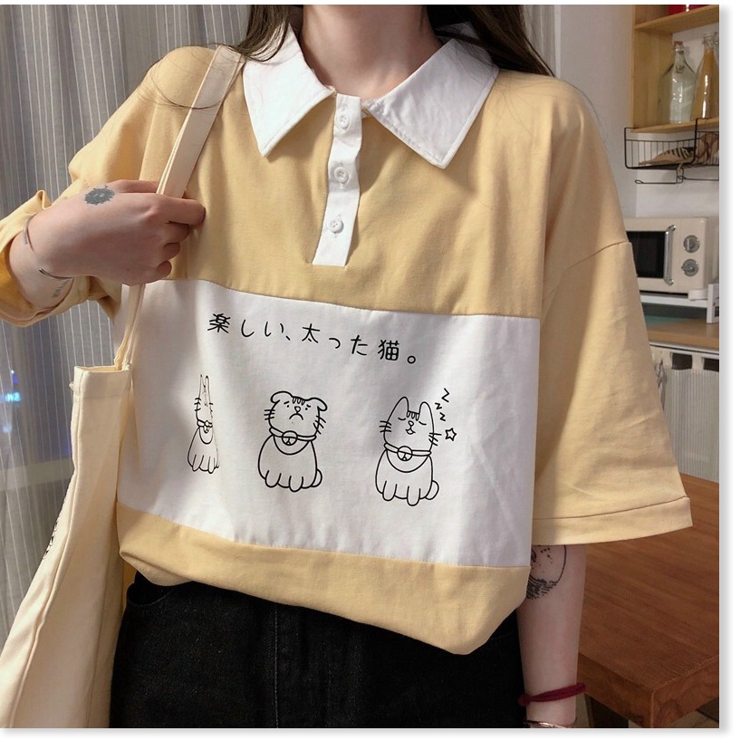 Áo thun nữ cổ bẻ form rộng tay lỡ mèo KUL