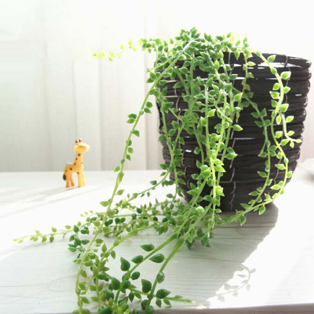 MIQUEL Cây Mọng Nước Giả Trang Trí