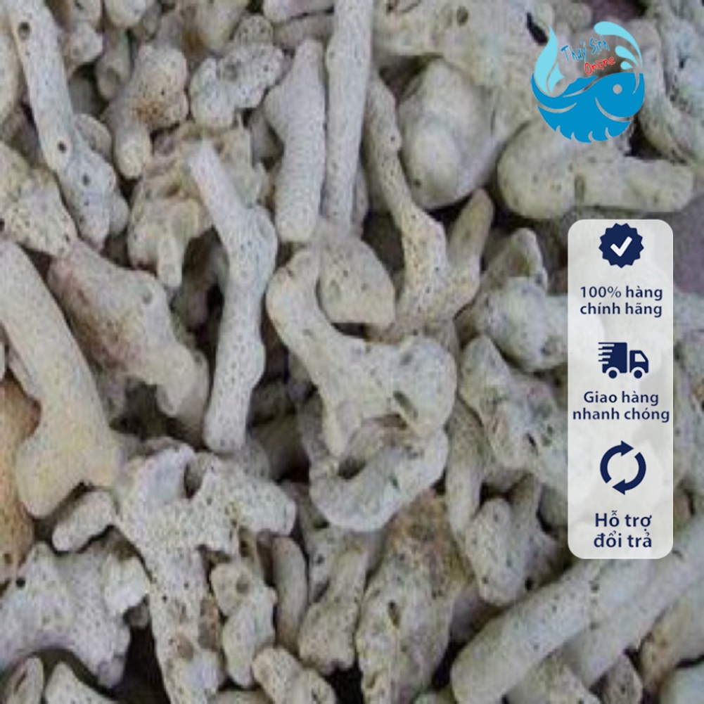 San hô vụn lọc bể cá, bể thuỷ sinh, cân bằng PH nước