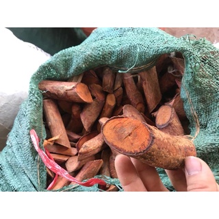 Cây Mú Từn - Giúp cuộc sống vợ chồng