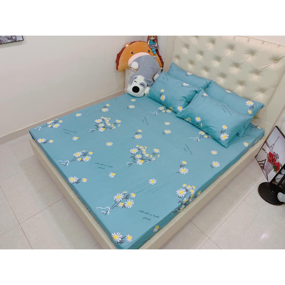 Bộ ga chun và 2 áo gối nằm Emmidecor - mẫu Cúc họa my, drap cotton poly