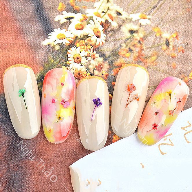 Hoa khô nail trang trí móng cánh nhỏ 12 màu