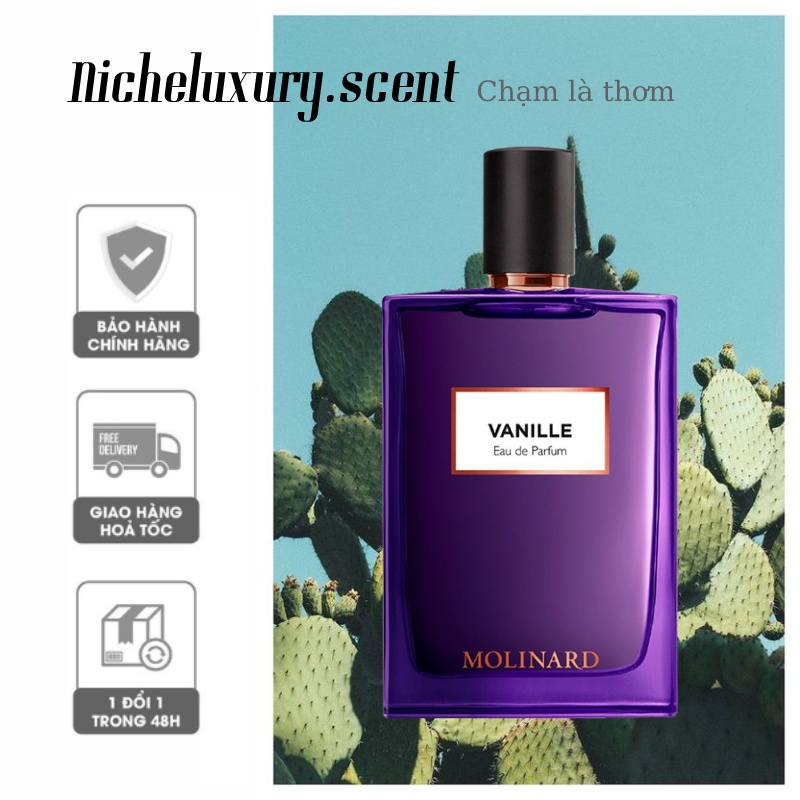 🅽🅸🅲🅷🅴 - Nước hoa Vanille By ᴍᴏʟɪɴᴀʀᴅ - 10ml