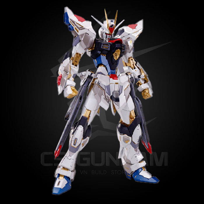 MÔ HÌNH GUNDAM MG HIRM 1/100 DRAGON MOMOKO ZGMF-X20A STRIKE FREEDOM GUNDAM METAL FRAME & WING OF LIGHT &EFFECT PART MMK