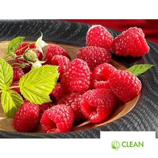 Hạt giống Mâm xôi đỏ (30 hạt) (Phúc bồn tử)