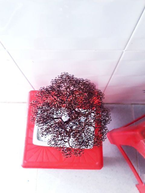 Cây bonsai bằng dây đồng giả lũa trắng.