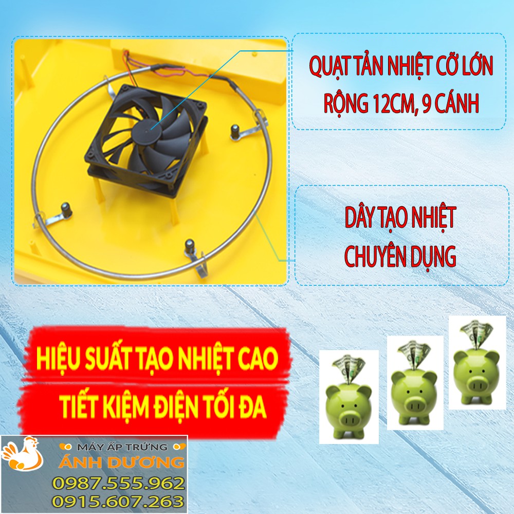 Máy ấp Ánh Dương A100 ấp 100 trứng gà, vịt, ngan, bồ câu, chim cút, nở trên 95% - Khay đảo nhôm