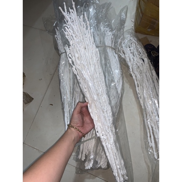 Cành tuyết dẻo trắng trang trí