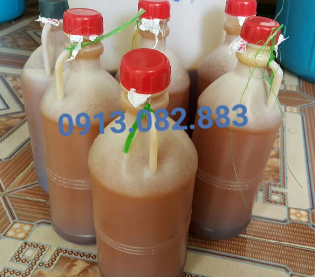 500ml - Mật Ong rừng Tràm U Minh nguyên chất 100%