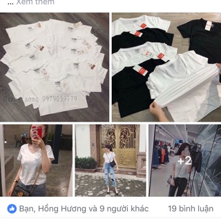 Áo pull
