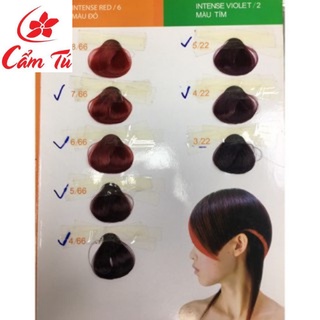Thuốc Nhuộm Tóc Everflo - mpcamtu