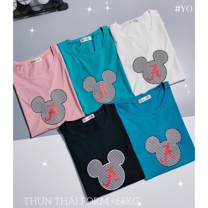 Áo THUN THÁI form rộng nhiều màu