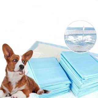 Combo 5-10 Miếng lót vệ sinh cho chó mèo có sz lớn
