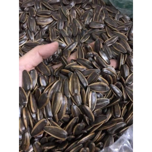 Hướng Dương Bịch 5kg