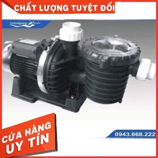 Máy bơm nước hồ bơi ewara scpb 150e, scpb 200e, scpb 300e ....
